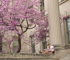 A spring photo showing the UI campus
