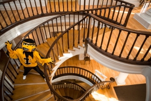 Herky on Stairs Photo