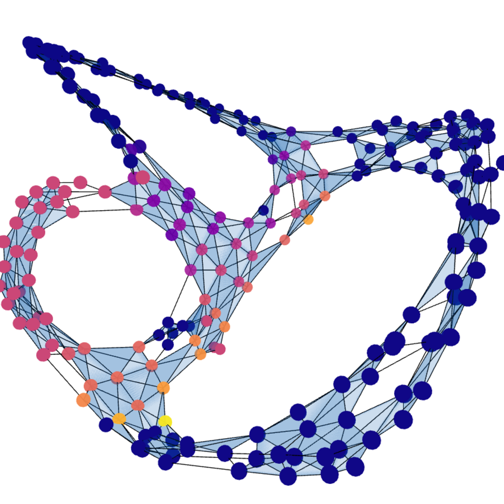 Topological Data Visualization Workshop promotional image