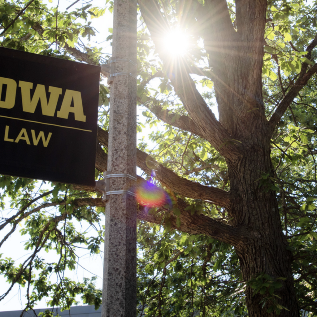  Student Stories: Reflections on Summer Environmental Law Internships  promotional image