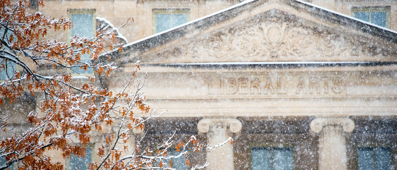Iowa Winter 