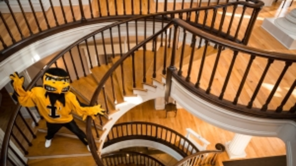 Herky on Stairs Photo